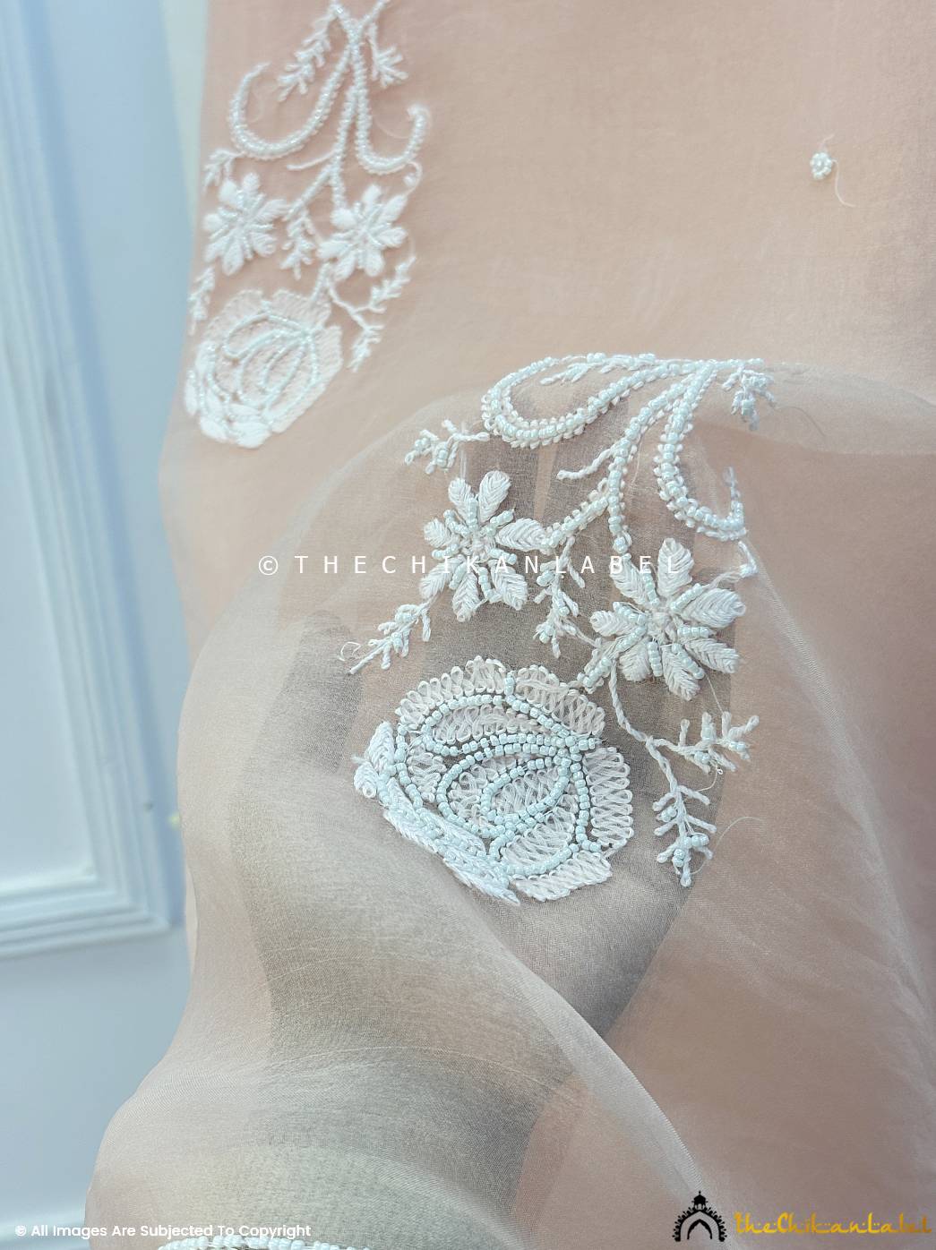 Aafreen Organza Chikankari Pearl Work Saree - Beige - Image 3
