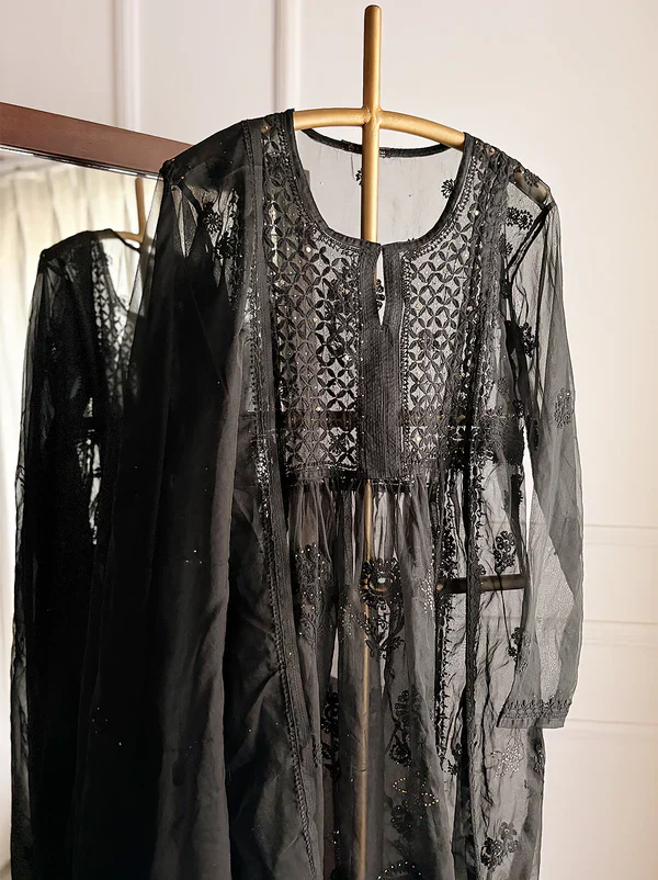 Ahilya Organza Chikankari Kurta Set - Black - Image 3