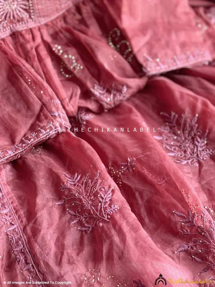 Ahilya Organza Chikankari Kurta Set - Wine - Image 5