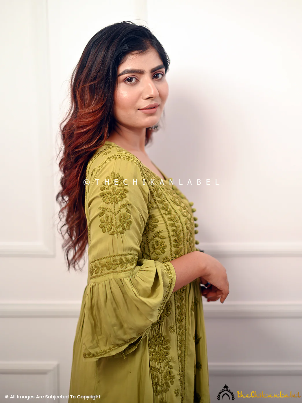 Falak Modal Chikankari Anarkali - Mehndi - Image 5
