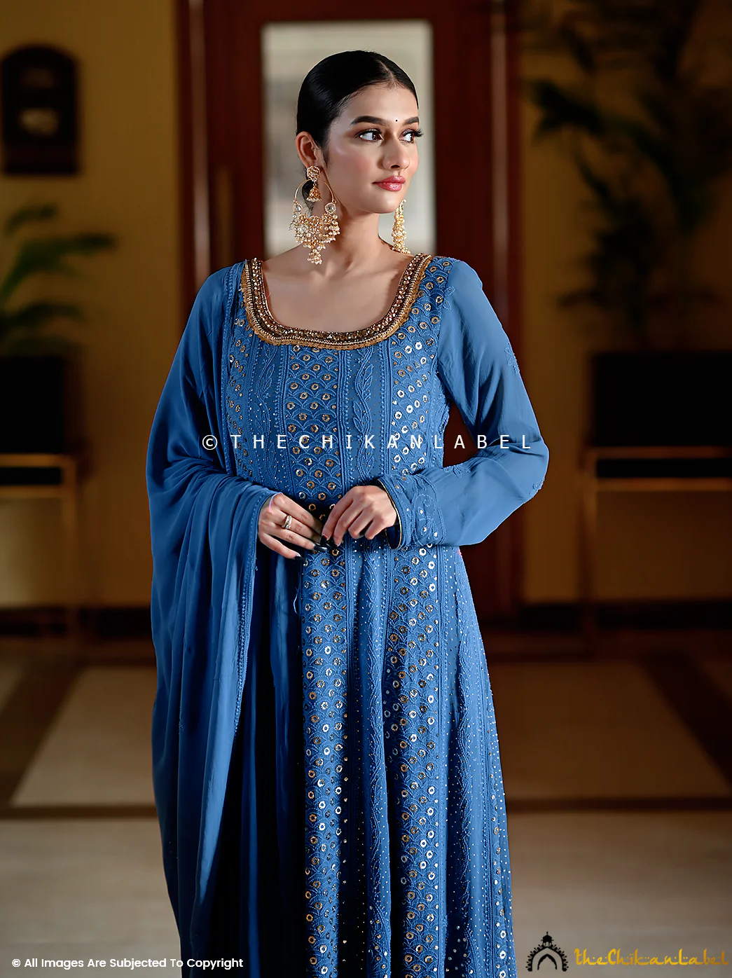 Gulmohar Viscose Chikankari Anarkali - Ombre Blue - Image 2