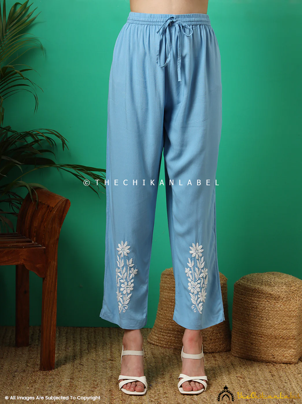 Anvika Rayon Chikankari Co-ord Set -Powder Blue - Image 4