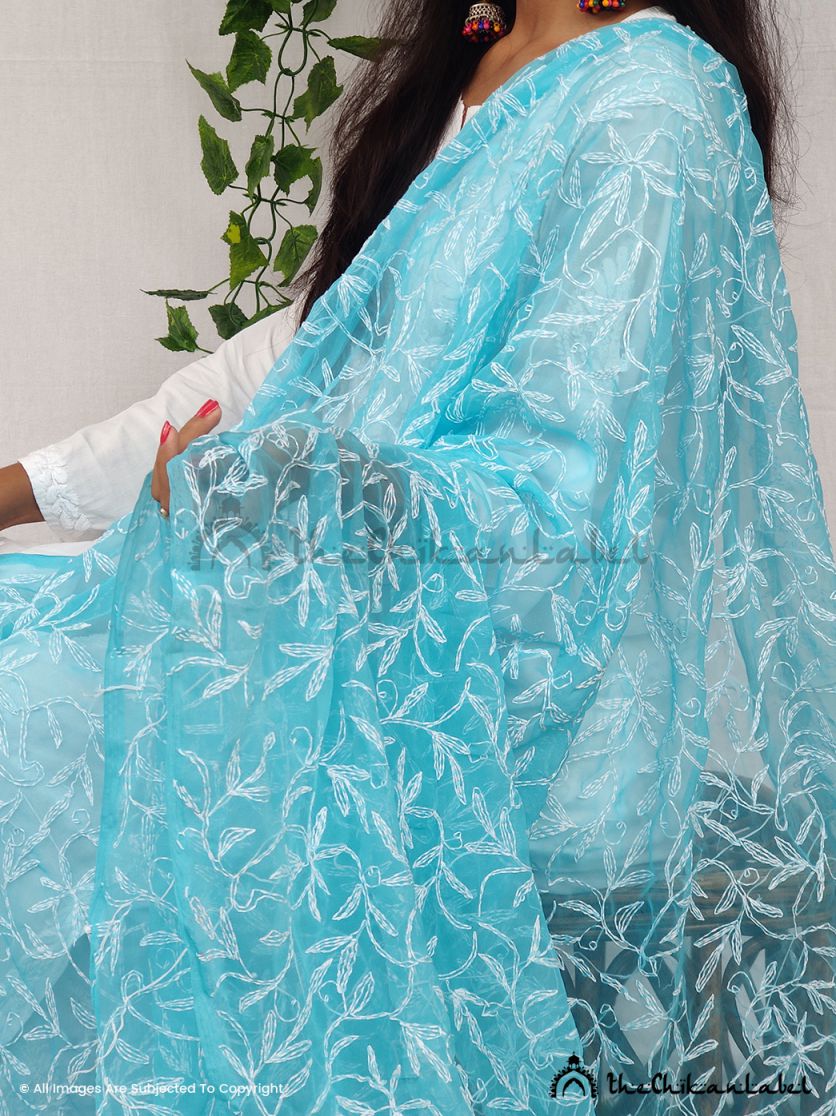Sky Blue Tepchi Georgette Chikankari Dupatta Lucknawi Chikan - Image 3