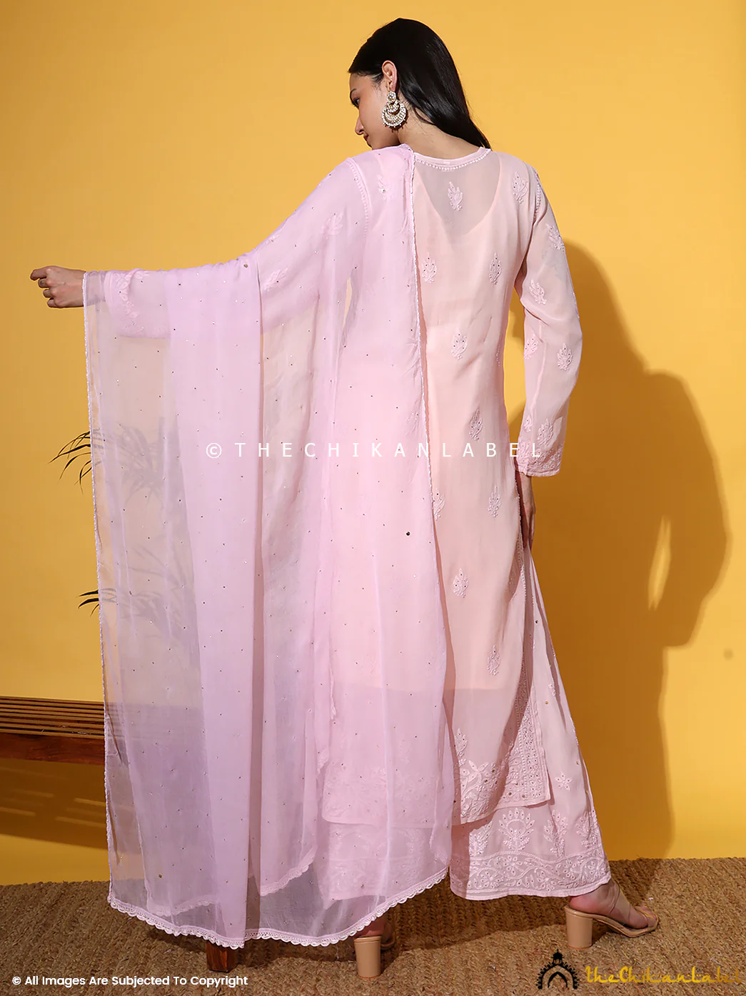 Sukhmani Gambhir Sitara Chikankari Viscose Kurta Set with Dupatta - Champagne - Image 3